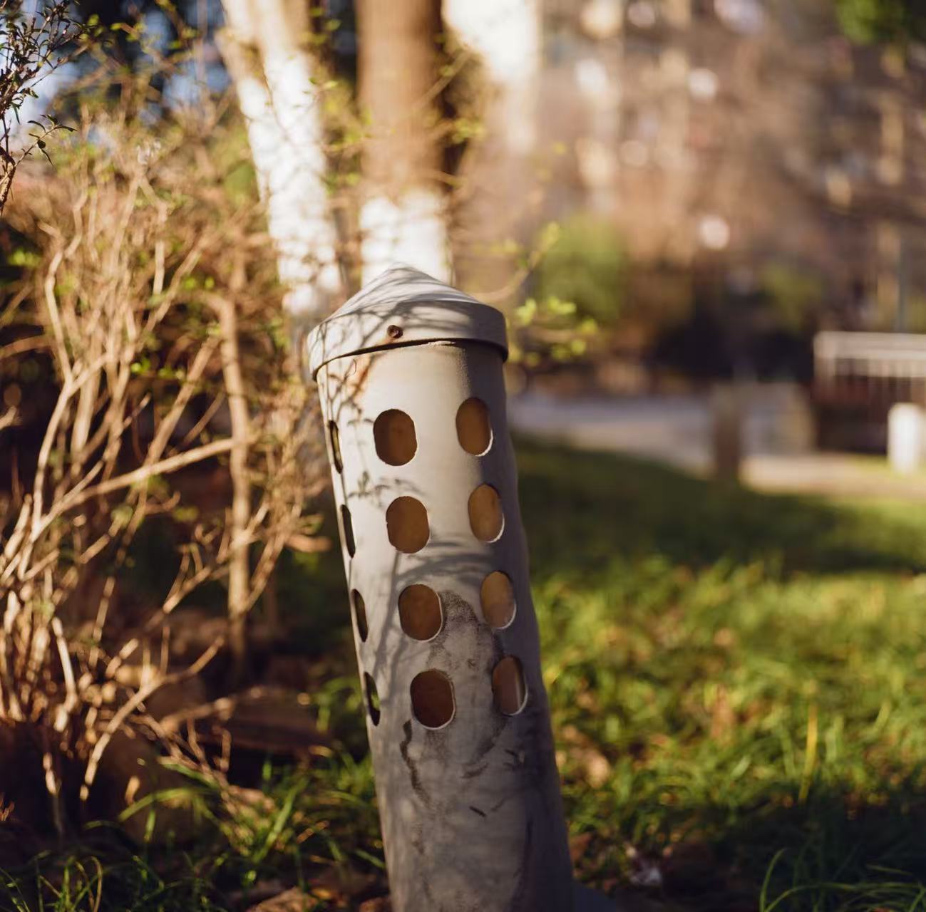 花草虚化样片——Planar镜头的奶油般焦外