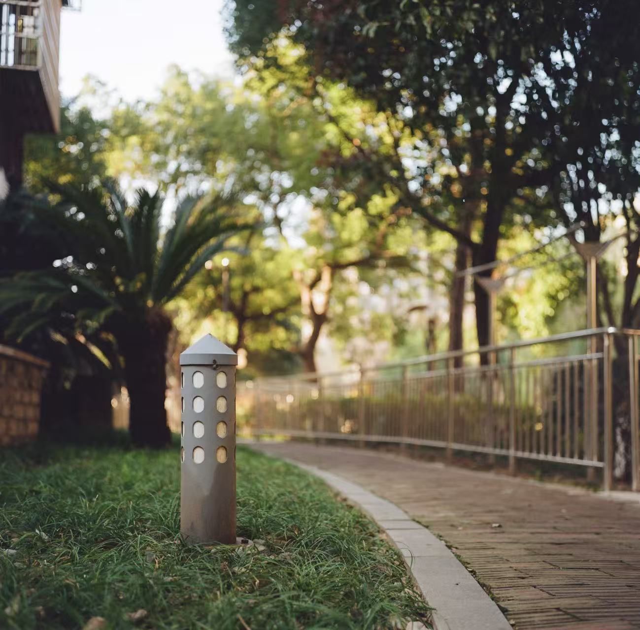 小区日常样片——平凡场景中的光影诗篇